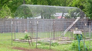 SQUASH TUNNEL