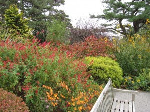 How to Revitalize a Mixed Garden Border, part one: Decision-making