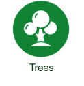 Trees Icon