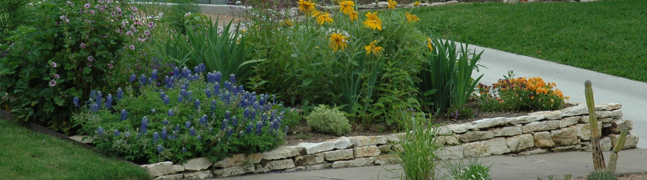 Curbside Landscaping long