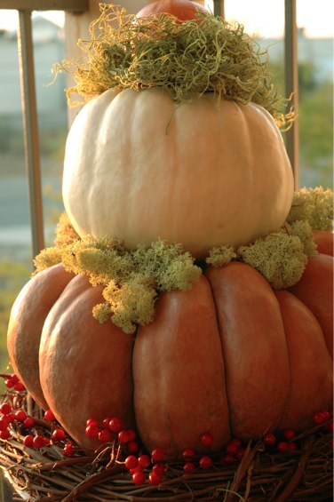 Creating a Pumpkin Topiary