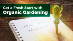 Get a Fresh Start with Organic Gardening