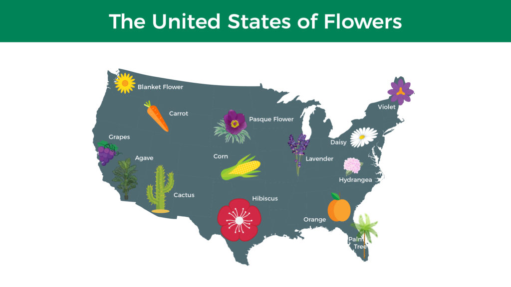 "The United States of Flowers"