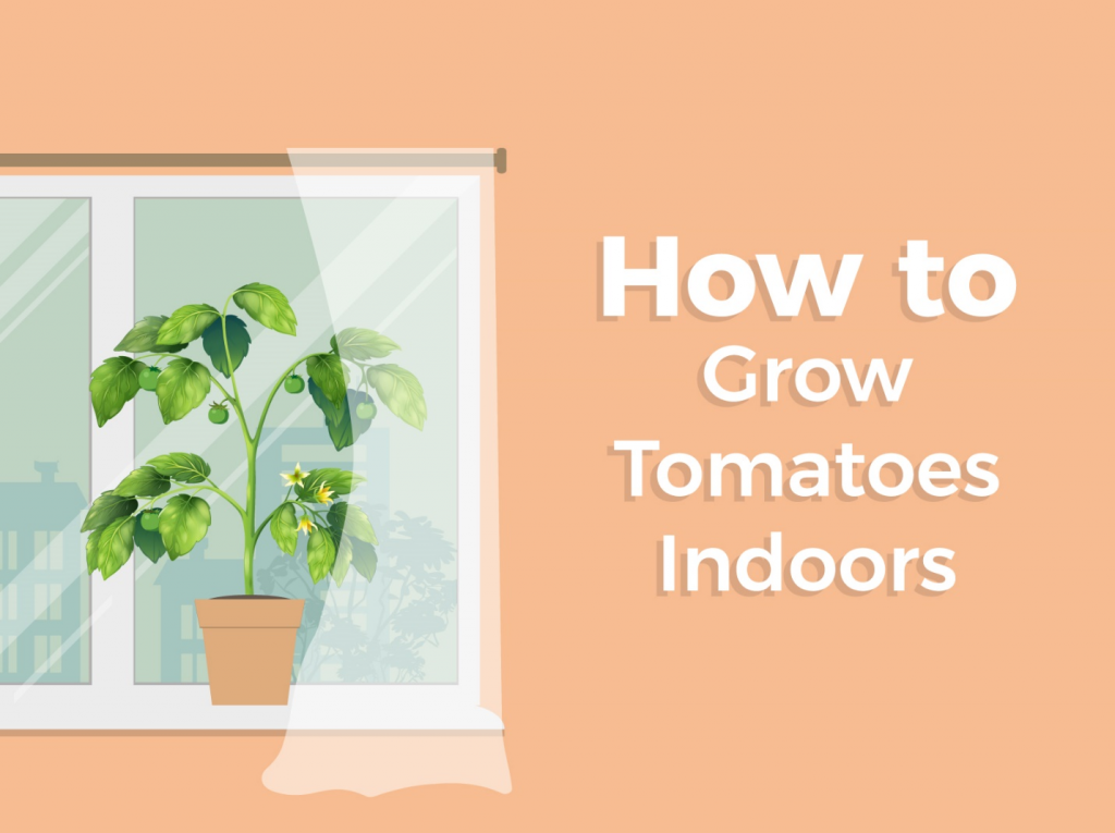 Grow Indoors - Jobe's