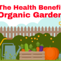 Infographic: Healthy Soil – The Key to Healthy Gardens
