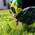 Think Before You Mow: Cutting Grass Safely and Correctly