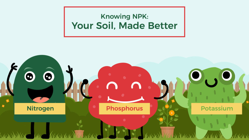 Knowing NPK: Your Soil, Made Better