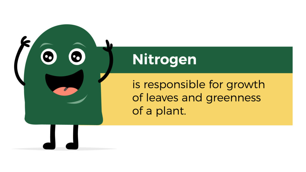 Nitrogen is responsible for growth of leaves and greenness of a plant.