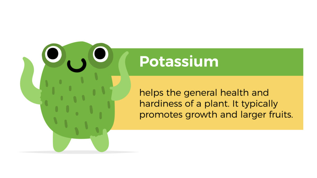 Potassium helps the general health and hardiness of a plant. It typically promotes growth and large fruits.