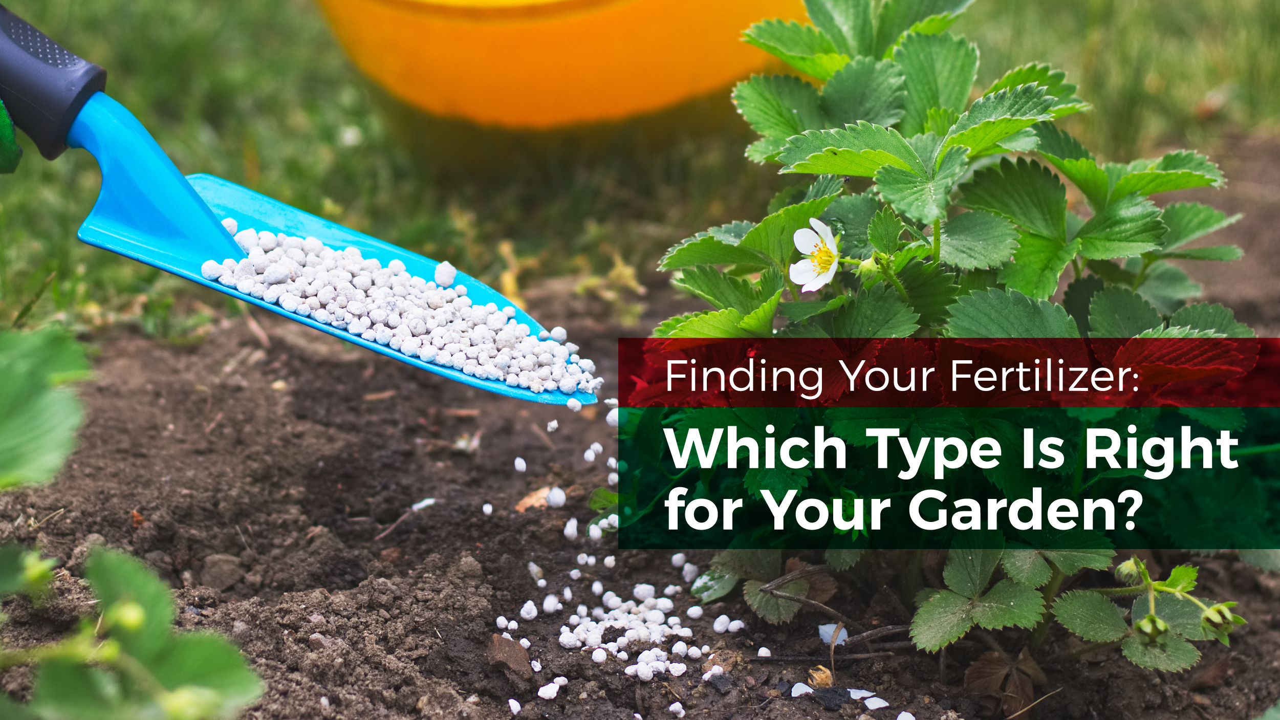 fertilizer types and uses