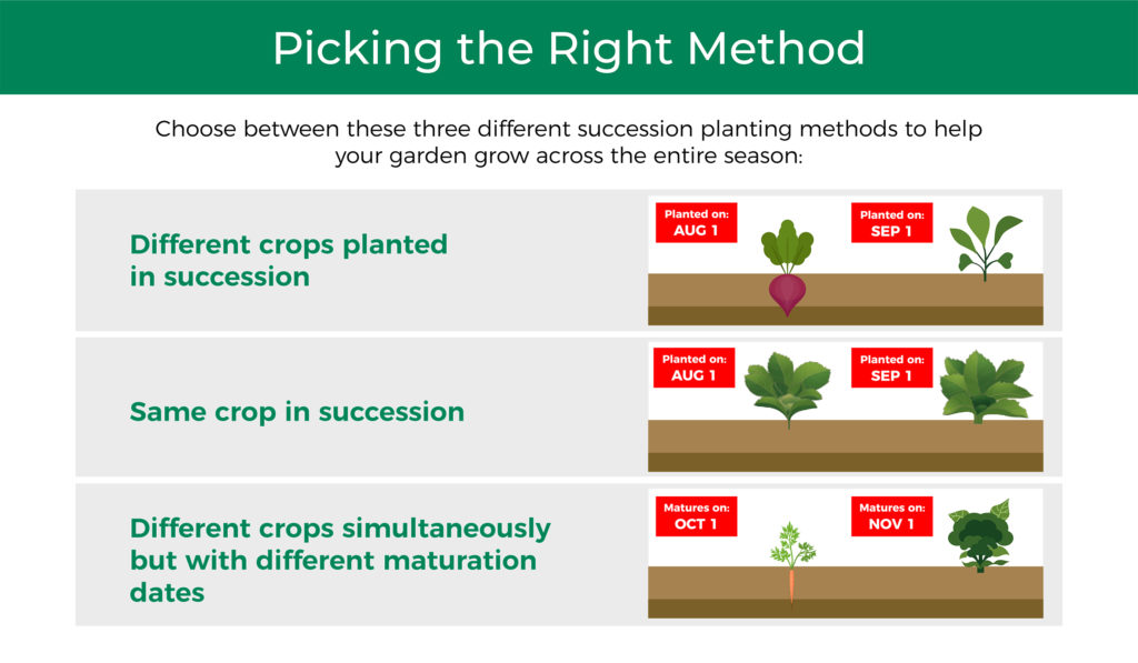 Picking the right successive growing method.