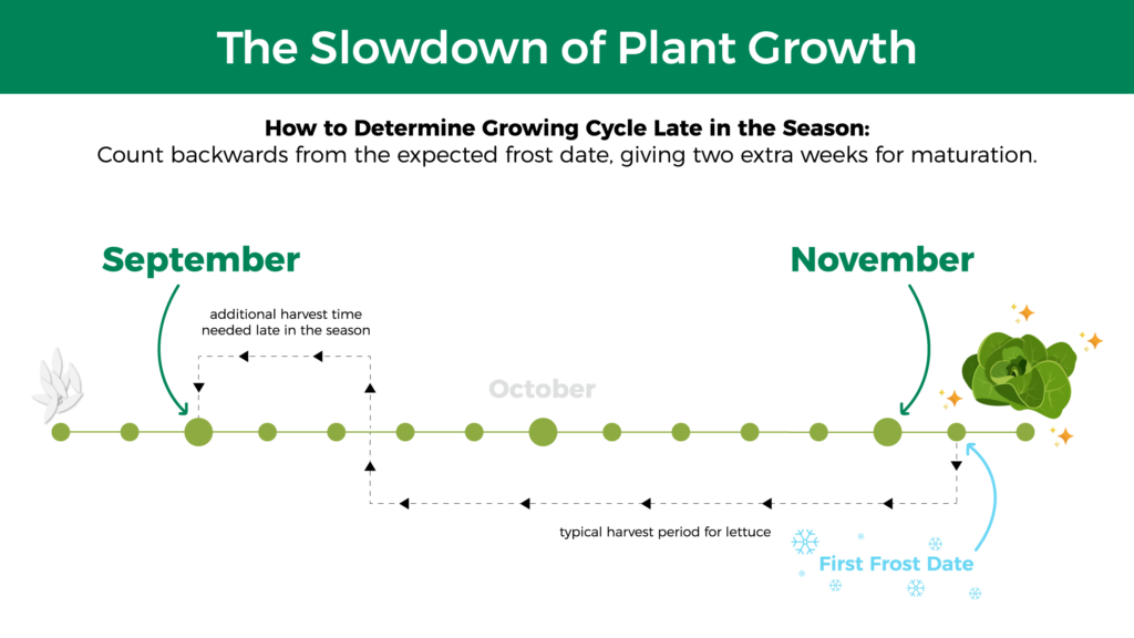 The Slowdown of Plant Growth.