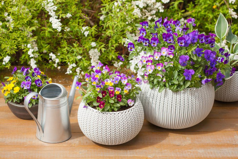 Tips for Managing Your Container Garden