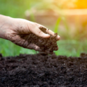 Compost Creation Tips to Make a Mixture Your Plants Will Love