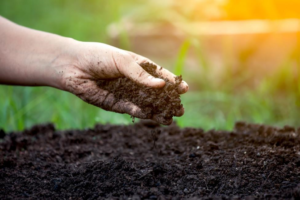 The Difference Between a Fertilizer and a Soil Amendment