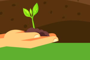 Infographic: Healthy Soil – The Key to Healthy Gardens