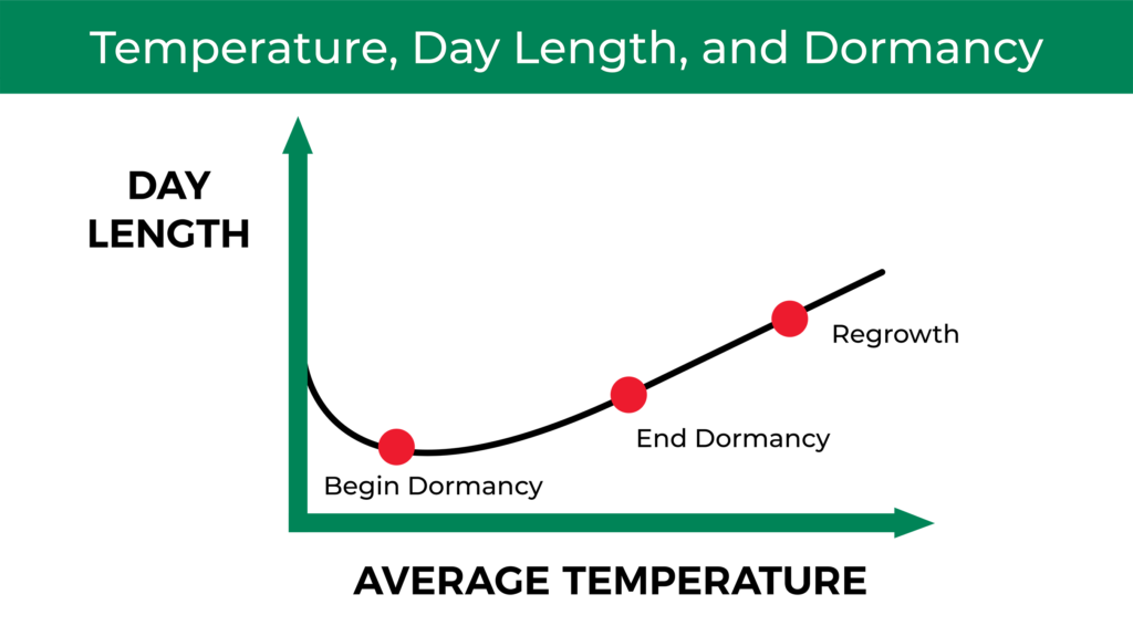 graph showing the effect of temperature and day length on the dormancy process
