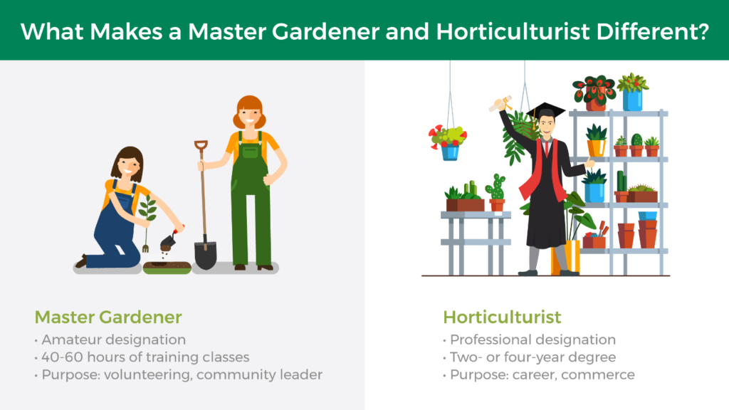 infographic describing the difference between master gardeners and horticulturists