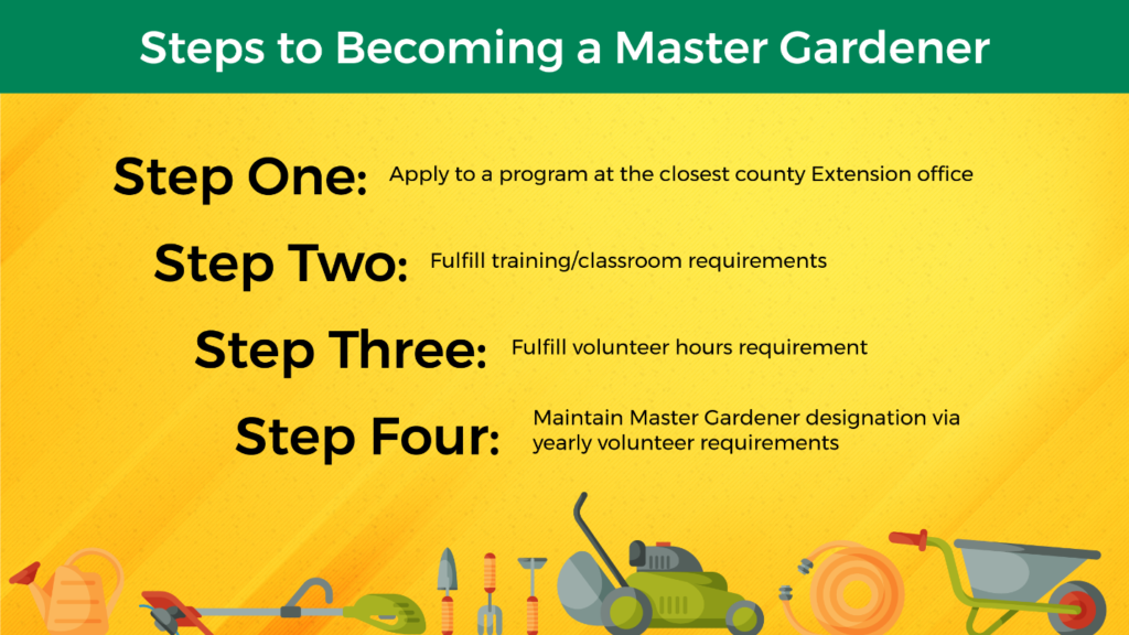 four steps to becoming a master gardener