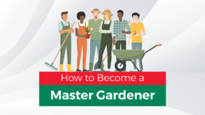 How to Become a Master Gardener