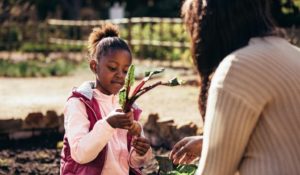 Mental and Physical Benefits of Gardening With Your Kids
