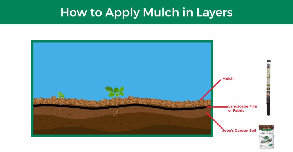 Applying mulch in layers allows you to reap multiple benefits. In this diagram, we show how to lay topsoil, landscape film, and finally mulch.