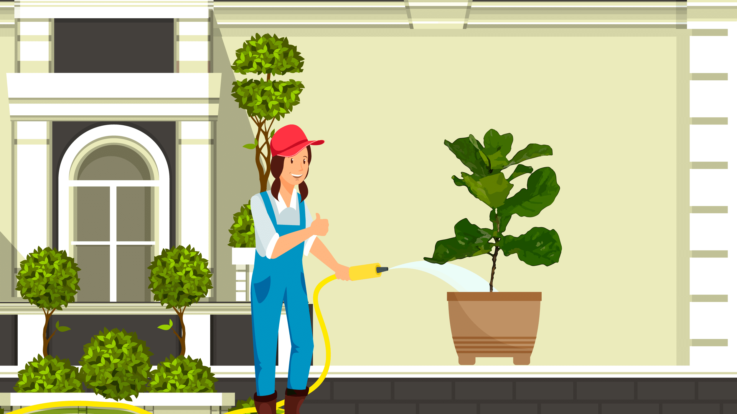 Illustration of a young girl watering her newly potted fiddle-leaf fig outdoors. 
