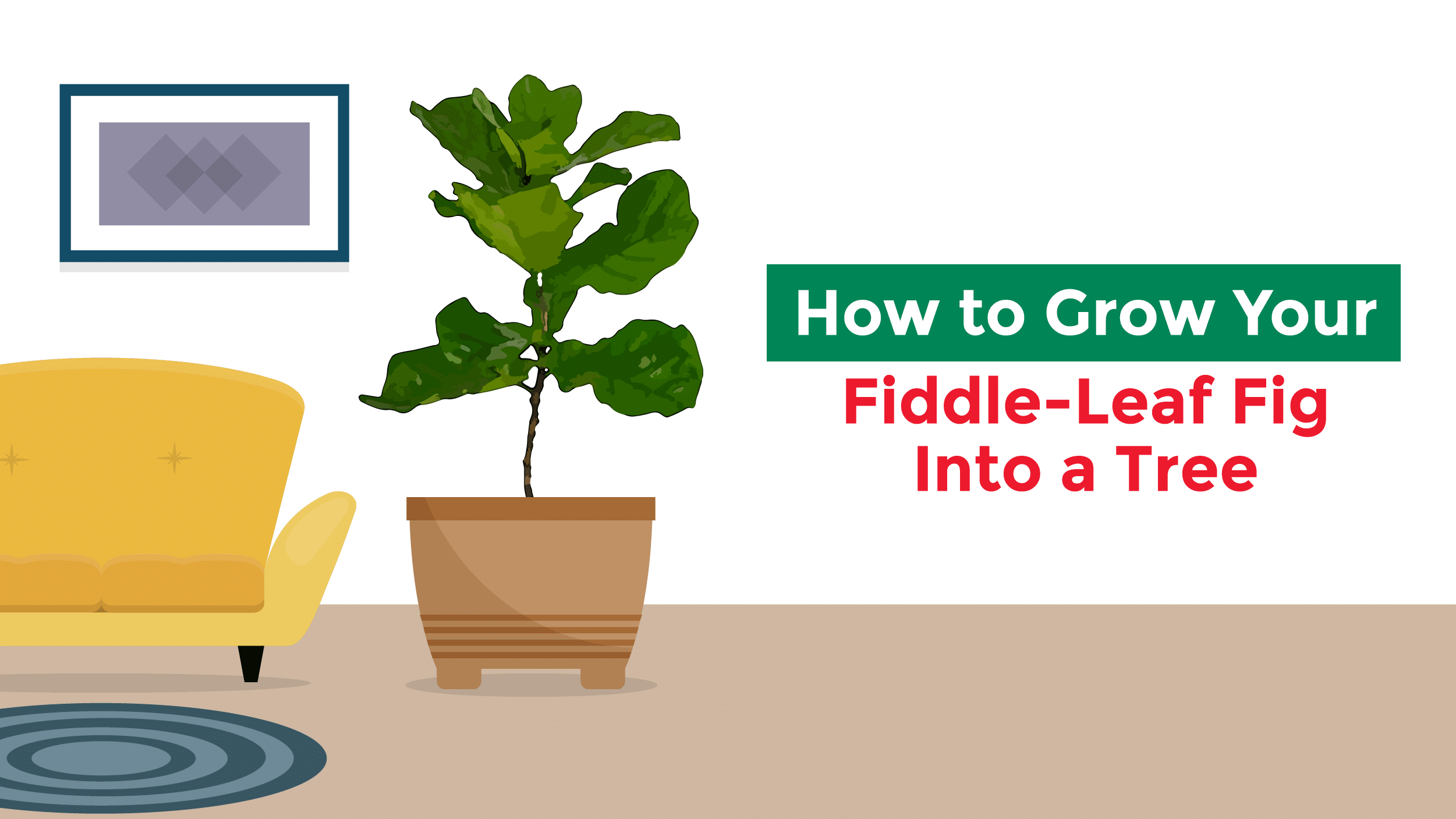 How-To: Grow Your Fiddle-Leaf Fig Into a Tree