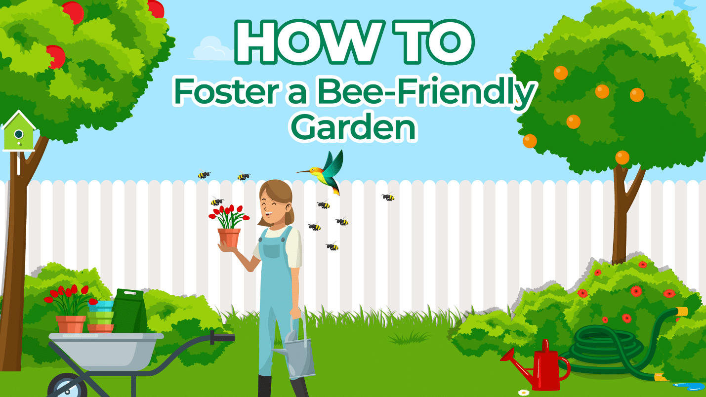 woman standing in garden holding pot of flowers with pollinators surrounding her