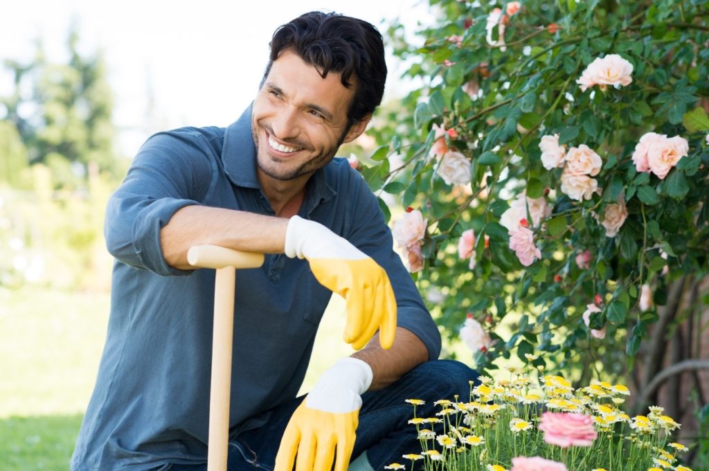 3 Things You Need for a Beautiful Rose Garden