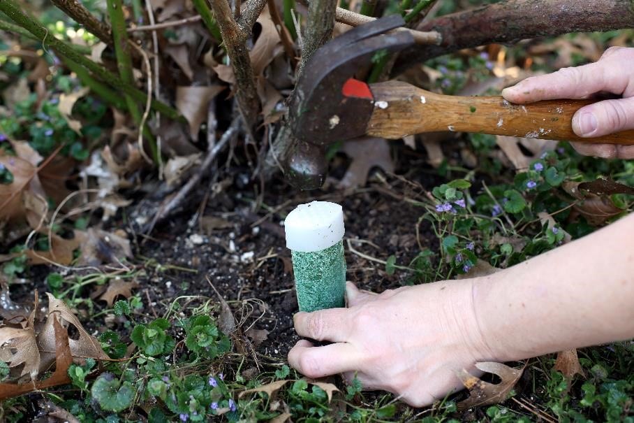 Image of Tree spikes fertilizer