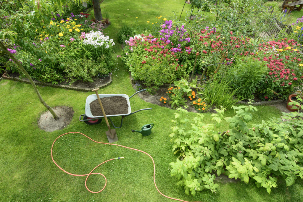 How to: Landscape Your Yard - Jobe's Company