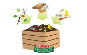 Infographic: Beginner’s Guide to Composting