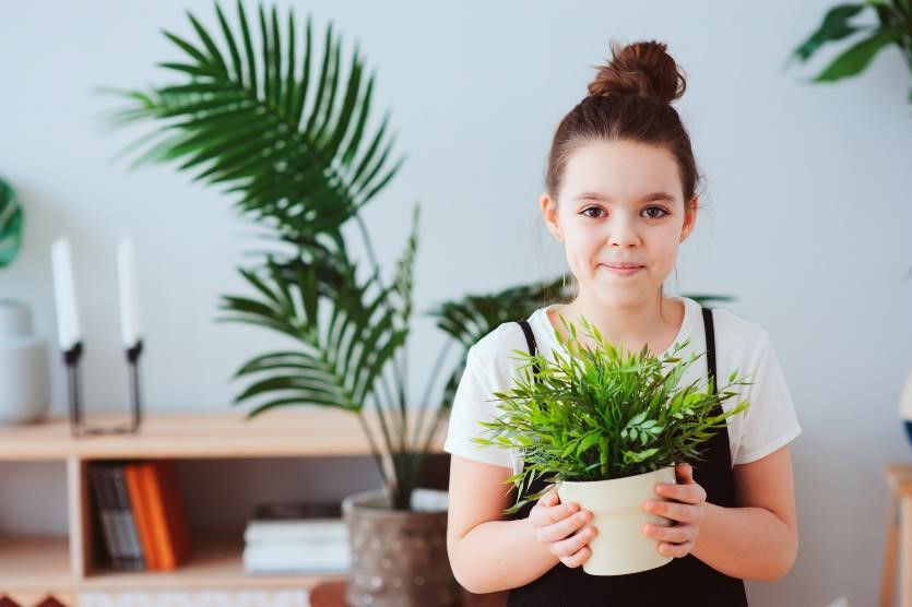 The Best Holiday Houseplants to Gift a Green Thumb This Year