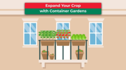 Expand Your Crop with Container Gardens