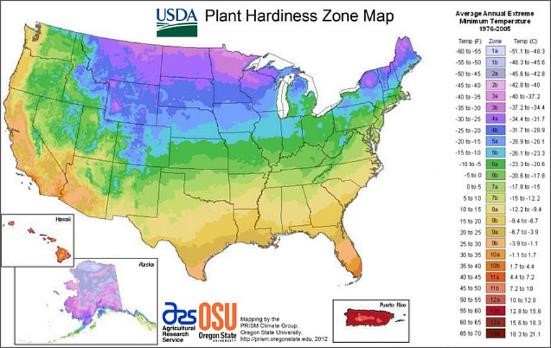 An Overview of U.S. Hardiness Zones for Plants and Garden Planning