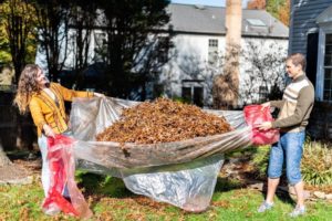 3 Useful Ways to Manage Leaves and Lawn Clippings