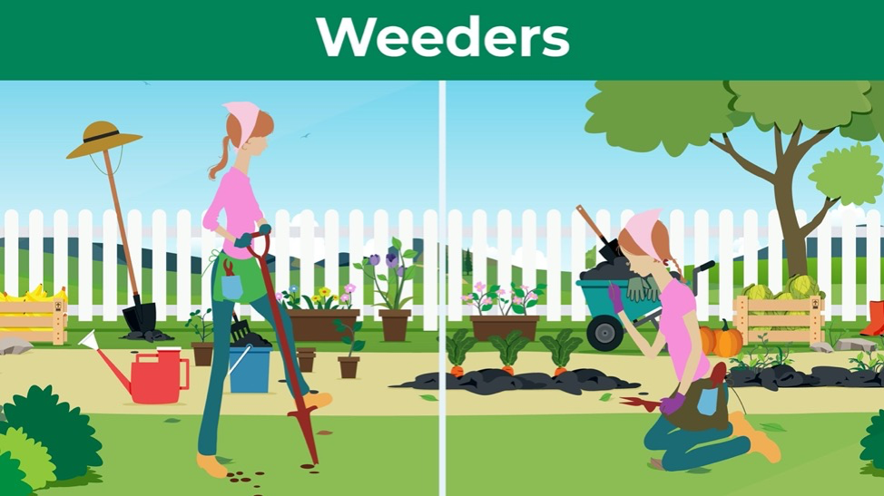 Woman weeding her yard with a handheld weeder.