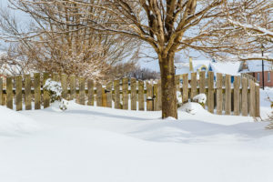 Snow Blankets: An Insulator or a Danger to Your Garden?