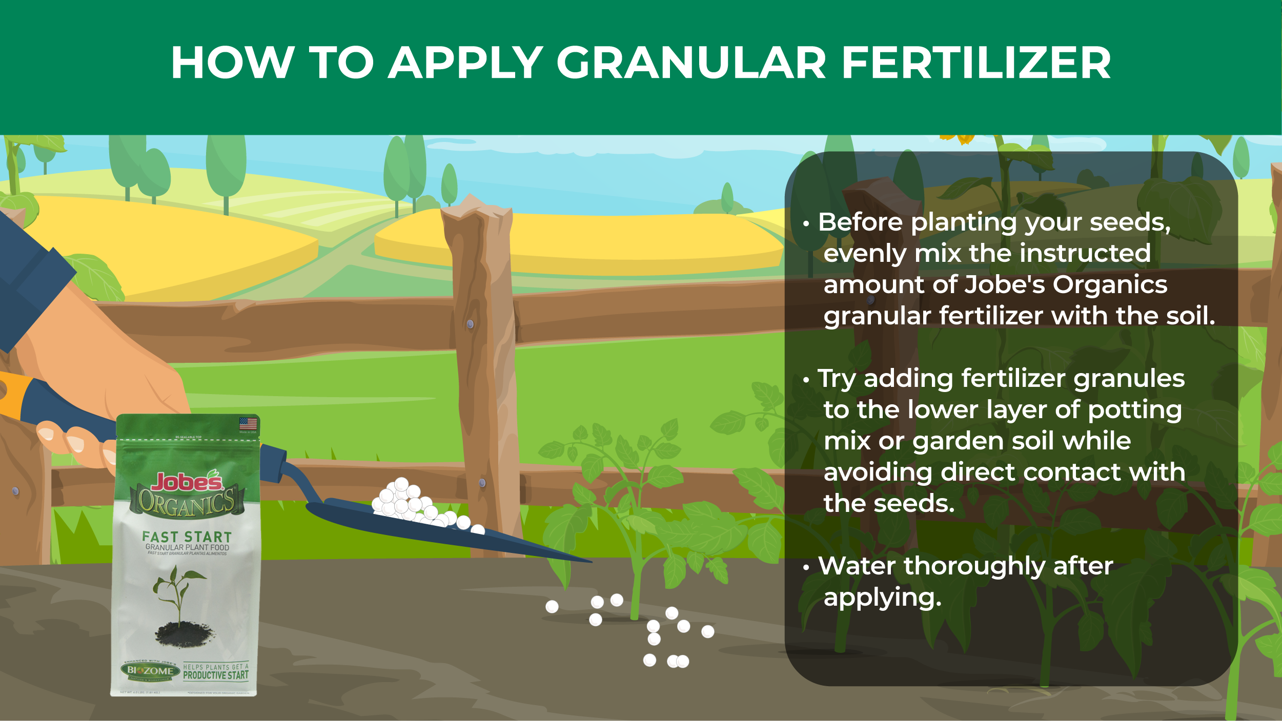 how to apply granular fertilizer