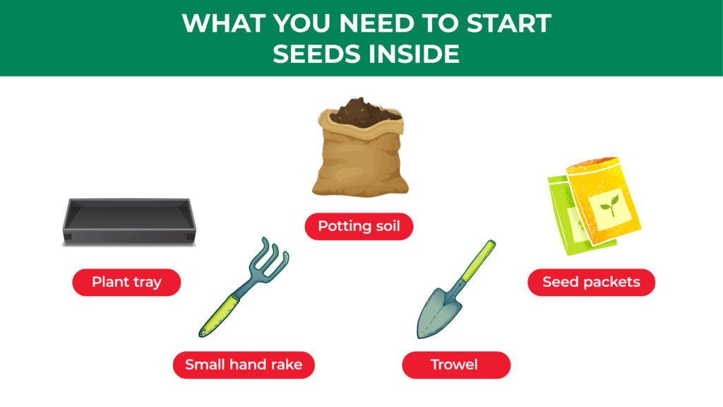 How to Start Seeds in Your Garden Jobe's Company