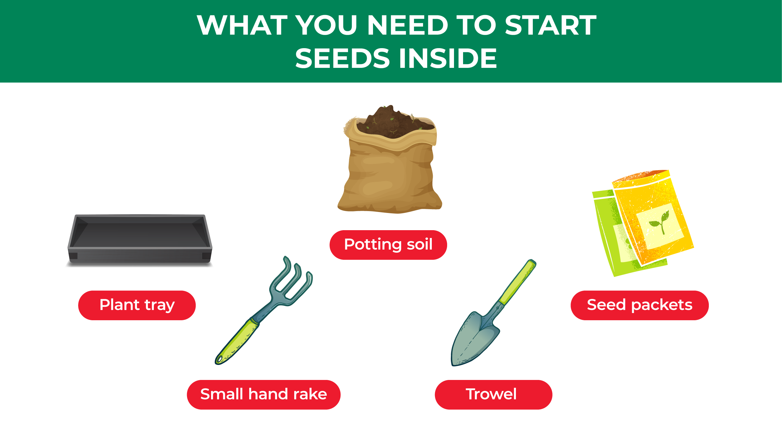 How to Start Seeds in Your Garden - Jobe's Company